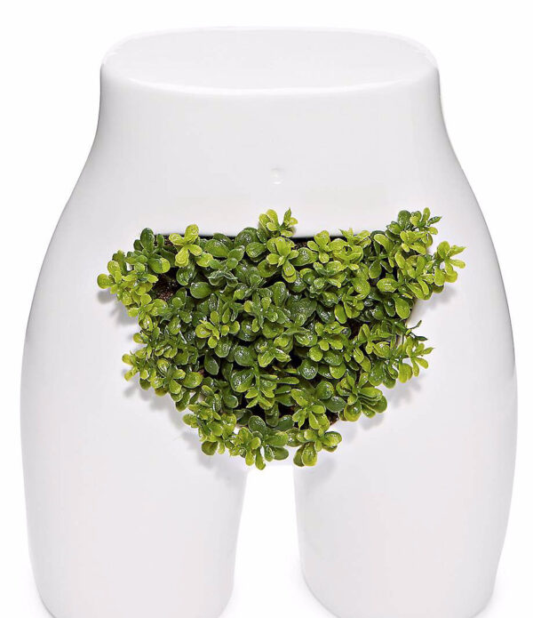 big boobs flower pot