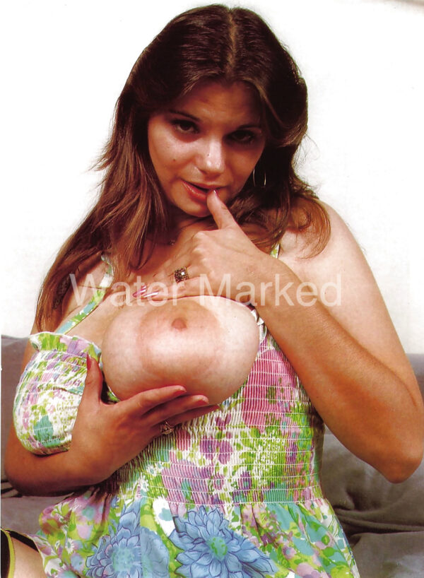Big-Boobs-Pic-Busty-Art-Merchandise-Nudes