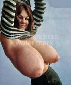 Vintage Mega Tits Tease Photo Print Collectibles