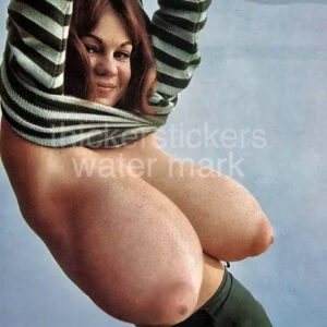 Vintage Mega Tits Tease Photo Print Collectibles