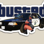 Classic Ex-CHP 5.0 Mustang