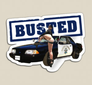 Classic Ex-CHP 5.0 Mustang