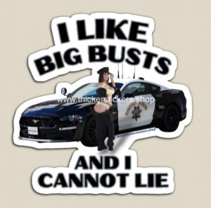 Police Ford Mustang Sexy Pin Up Art