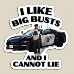 Police Ford Mustang Sexy Pin Up Art