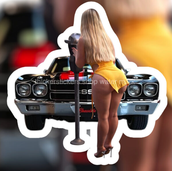 72 Chevelle Hottie Magnets
