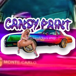 Chameleon Paint Classic Monte Carlo Curvy Model Collectibles