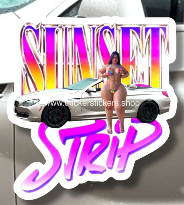 650 Droptop Model Pin Up Thickerstickers Body art stickers and magnets
