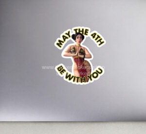 star wars pin up babe