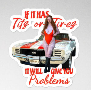 Busty Redhead vintage Camaro Model Magnet | Vinyl | Decal for Tool Box, Garage, Car Window, Bumper, Laptop, Water Bottle