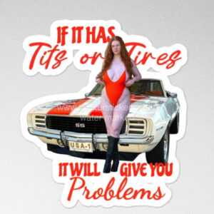 Busty Redhead vintage Camaro Model Magnet | Vinyl | Decal for Tool Box, Garage, Car Window, Bumper, Laptop, Water Bottle