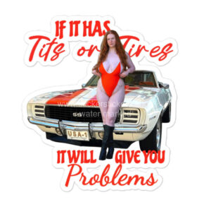 Busty Redhead vintage Camaro Model Magnet | Vinyl | Decal for Tool Box, Garage, Car Window, Bumper, Laptop, Water Bottle 