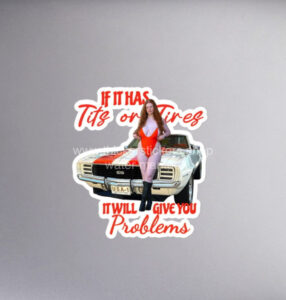 Busty Redhead vintage Camaro Model Magnet | Vinyl | Decal for Tool Box, Garage, Car Window, Bumper, Laptop, Water Bottle 